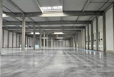 Spațiu industrial, de 9,500 mp, în Industrial Vest - 8
