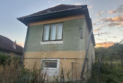 Casă cu 2 camere în Nucet