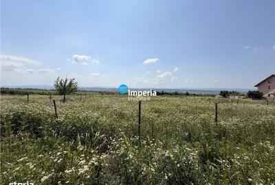 Spațiu comercial, în Valea Lupului - 1