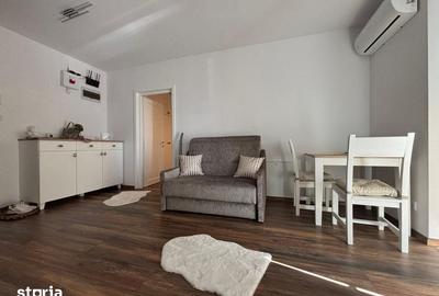 Apartament cu 2 camere în Valea Borcutului