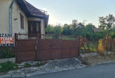 Casă cu 3 camere în Central