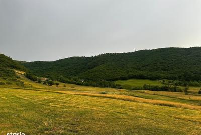Spațiu comercial, în Cristian - 3