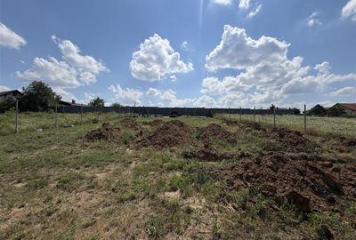 Teren intravilan de 586 mp, în Paleu - 4