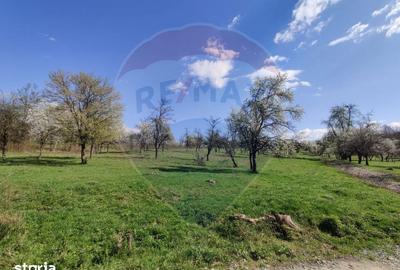 Teren de 1778 mp, în Dumbrăvița - 1
