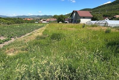 Casă cu 2 camere cu Teren 1500 Mp în Feleacu - 3