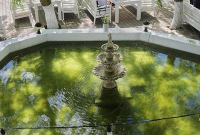 Casă individuală cu 19 camere cu Canalizare în Murighiol - 12