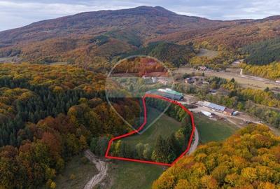 Teren agricol extravilan de 9540 mp, în Teliu
