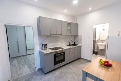 Apartament cu 2 camere semidecomandat în Palazu Mare - 3