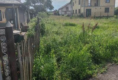Teren de 3650 mp, în Teiș - 4