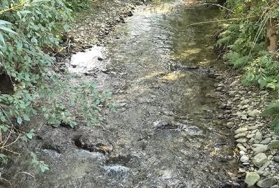 Teren de 2500 mp, în Dejani