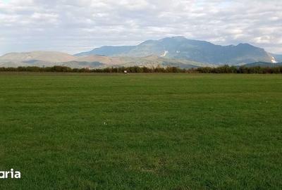 Teren de 2800 mp, în Central - 3