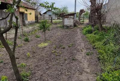 Teren în Miloșești - 3