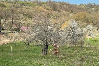 Teren de 5755 mp, în Central