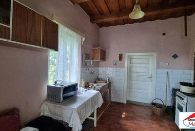 Casă individuală cu 2 camere cu Teren 8052 Mp în Viile Satu Mare - 12