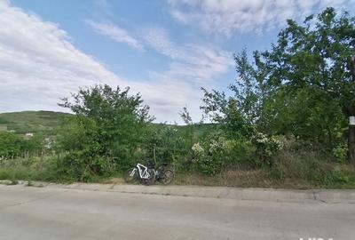 Teren de 5000 mp, în Uricani - 1