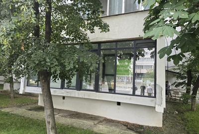 Spațiu comercial, de 54 mp, în Alexandru cel Bun