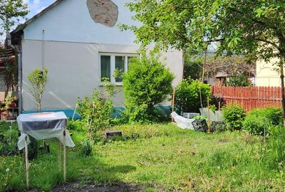 Casă individuală cu 3 camere cu Canalizare în Florilor - 2