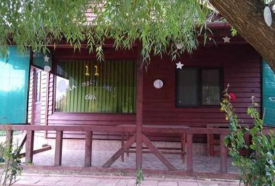 Casă cu Teren 300 Mp în Pielești - 3