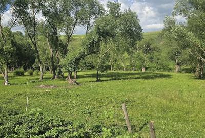 Casă cu Teren 93 Mp în Zaharești