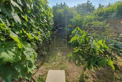 Casă cu 2 camere cu Teren 421 Mp în Plopi - 3
