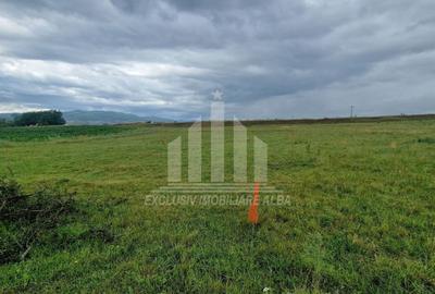 Teren Construcții intravilan de 450 mp, în Partoș - 2
