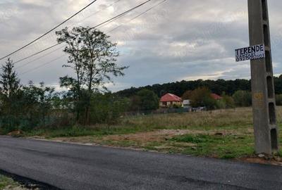 Teren de 4450 mp, în Gruiu - 2
