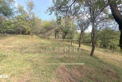 Casă cu 3 camere cu Teren 6660 Mp în Boteni