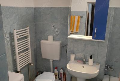 Garsonieră decomandată în Bartolomeu - 1