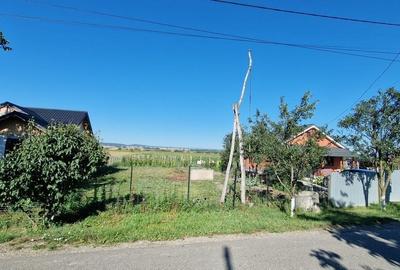 Spațiu comercial, în Siretu