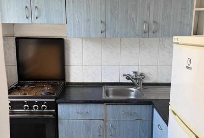 Garsonieră decomandată în Nufărul