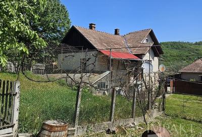 Casă individuală cu 3 camere cu Teren 3000 Mp în Petrindu - 6
