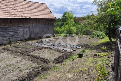 Casă individuală cu 5 camere cu Teren 1195 Mp în Liteni - 12