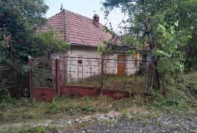 Casă cu Teren 9515 Mp în Dăești