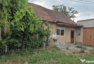 Casă cu 4 camere cu Teren 1993 Mp în Cheresig - 3