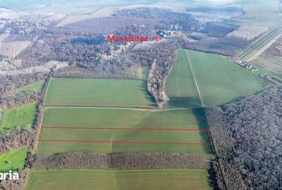 Teren de 16900 mp, în Grădiștea - 4