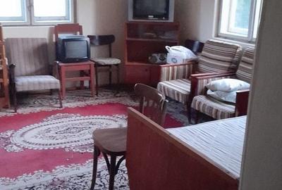 Casă cu 2 camere cu Teren 1567 Mp în Băița - 4
