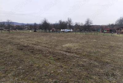 Teren de 3000 mp, în Vața de Jos - 3
