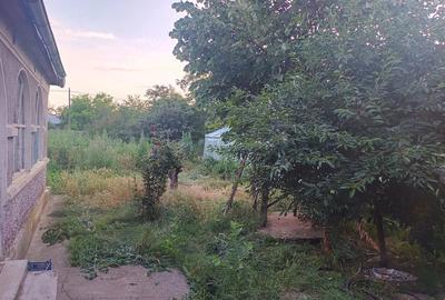 Casă cu 3 camere cu Teren 2500 Mp în Central - 4