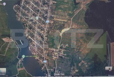 Teren Construcții extravilan de 9100 mp, în Dorobanț