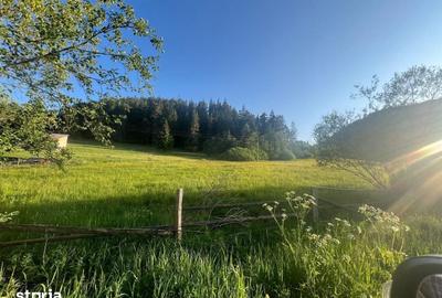 Teren de 500000 mp, în Ciocănești - 13