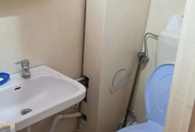 Apartament cu 3 camere decomandat în Rovine