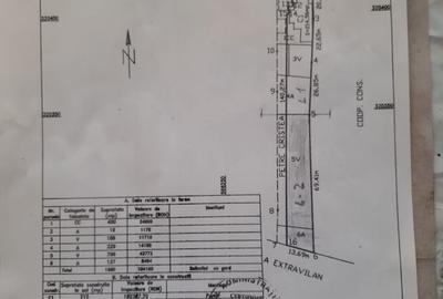 Spațiu comercial, în Central