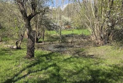 Teren de 5100 mp, în Runcu - 4