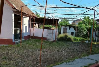 Casă cu 4 camere cu Teren 1300 Mp în Șicula - 3