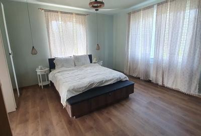 Casă cu 3 camere decomandat cu Teren 3000 Mp în Șăulia - 7