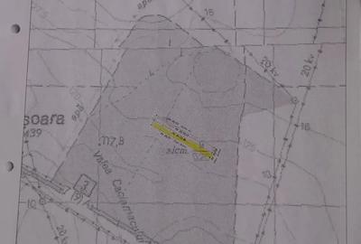Teren de 12000 mp, în Cobadin - 4