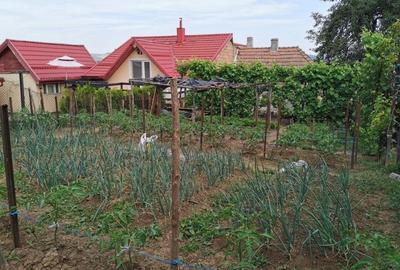 Casă cu 2 camere cu Canalizare în Mureșeni - 9