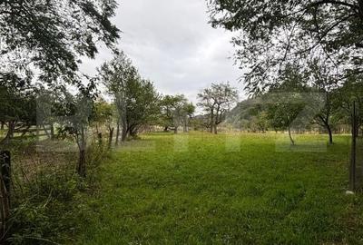 Teren de 155 mp, în Central