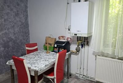 Casă cu 2 camere în Valea Nicovani