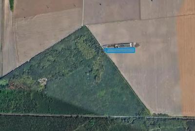 Teren de 15500 mp, în Belciugatele - 3